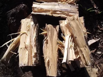 [Hearth.com] Is this Maple..and what kind?