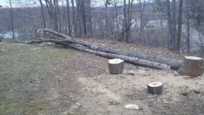 [Hearth.com] Hickory (Finally got some split)