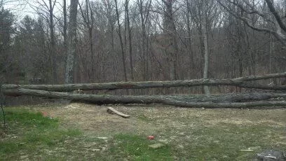 [Hearth.com] Hickory (Finally got some split)