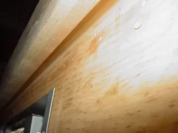 [Hearth.com] For Don2222 question about your stove or venting under a deck