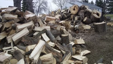 [Hearth.com] Spring is a beautiful thing!