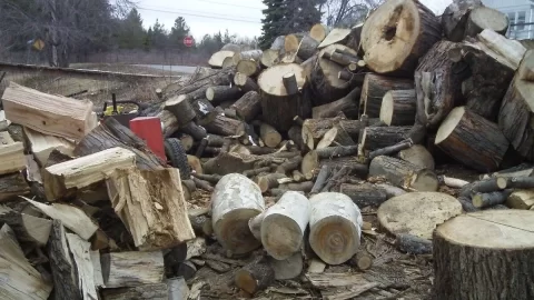 [Hearth.com] Spring is a beautiful thing!