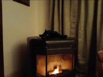 [Hearth.com] No pellet stove in a sleeping room