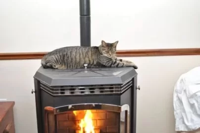 [Hearth.com] No pellet stove in a sleeping room