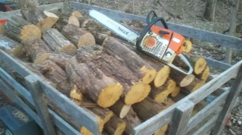 [Hearth.com] Orange-the other colored wood
