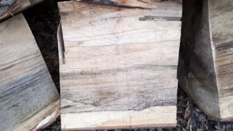 [Hearth.com] Small score on the way home from work