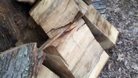 [Hearth.com] Small score on the way home from work