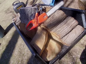 [Hearth.com] Wood Score, neighbor hacks down massive RedMaples