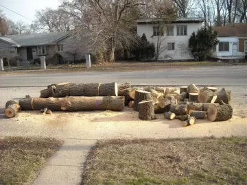 [Hearth.com] Tree Service is back in town. Nice Score!