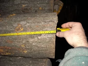[Hearth.com] Tree Service is back in town. Nice Score!
