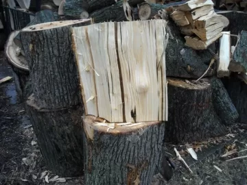[Hearth.com] Tree Service is back in town. Nice Score!