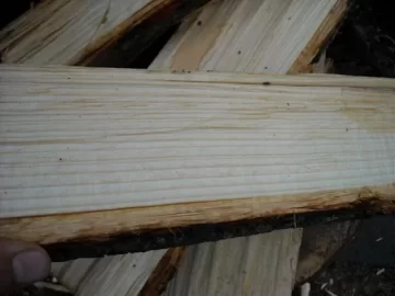 [Hearth.com] Tree Service is back in town. Nice Score!