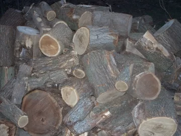 [Hearth.com] ID please