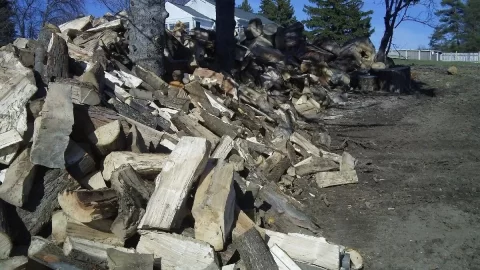 [Hearth.com] Spring is a beautiful thing!