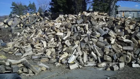 [Hearth.com] Spring is a beautiful thing!