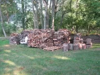 [Hearth.com] Seasoning wood on pallets
