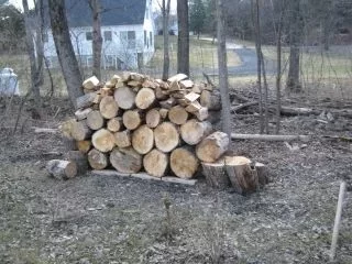 [Hearth.com] Seasoning wood on pallets