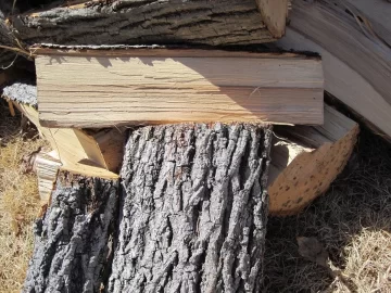 [Hearth.com] Wood ID - HARD TO SPLIT!