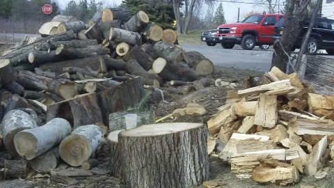 [Hearth.com] Spring is a beautiful thing!