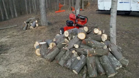 [Hearth.com] Hickory (Finally got some split)