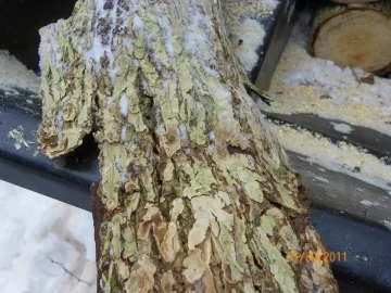 [Hearth.com] Not Sure.