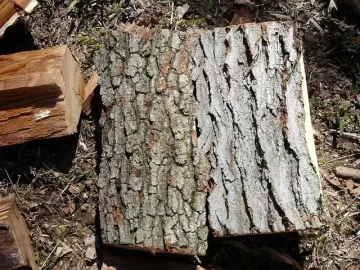 [Hearth.com] Guesses anyone