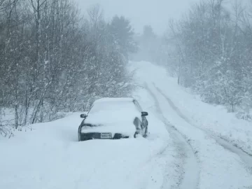 [Hearth.com] Welcome spring?????