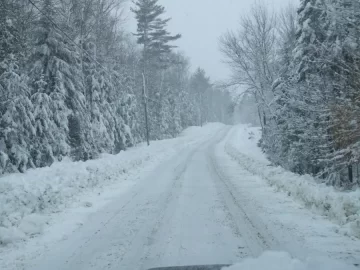 [Hearth.com] Welcome spring?????