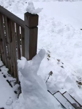 [Hearth.com] Welcome spring?????