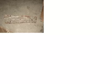 [Hearth.com] Wood Identification!?