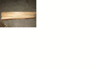 [Hearth.com] Wood Identification!?