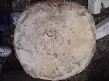 [Hearth.com] Wood ID