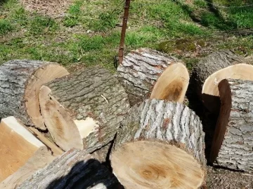 [Hearth.com] Guesses anyone