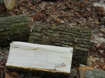[Hearth.com] Two Types/ ID