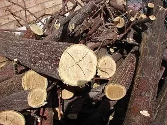 [Hearth.com] Wood ID