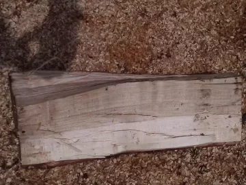 [Hearth.com] Wood ID.........from a scrounge