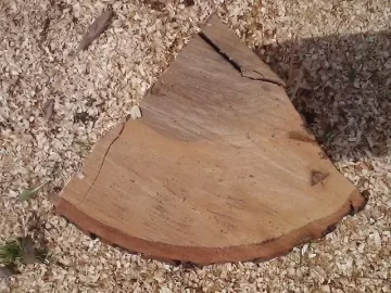 [Hearth.com] Wood ID.........from a scrounge