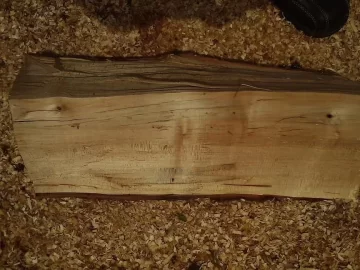 [Hearth.com] Wood ID.........from a scrounge