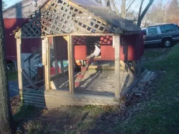 [Hearth.com] chicken coop plans