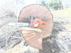 Show your saws thread!