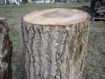 [Hearth.com] wood ID