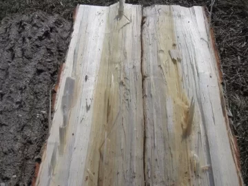 [Hearth.com] wood ID