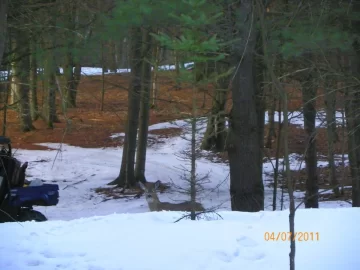 [Hearth.com] Zap your tree was GOOD!