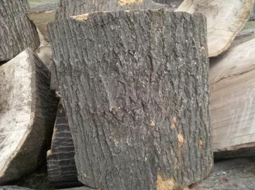 [Hearth.com] My first scrounge - Wood ID