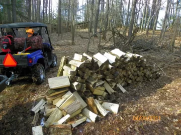 [Hearth.com] Cleaning Up the Woods/Update