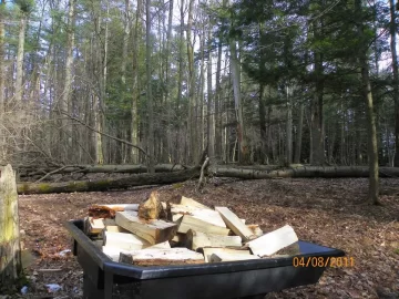 [Hearth.com] Cleaning Up the Woods/Update