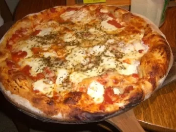 [Hearth.com] Tonights woodstove pizza and a tired dog