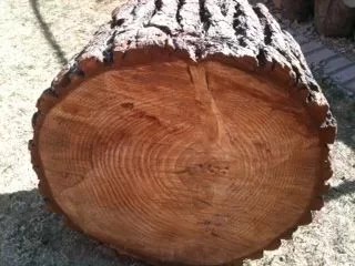 [Hearth.com] Wood ID Please