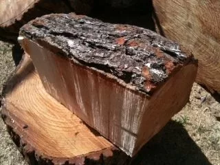 [Hearth.com] Wood ID Please
