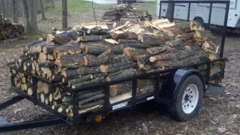 [Hearth.com] Hickory (Finally got some split)